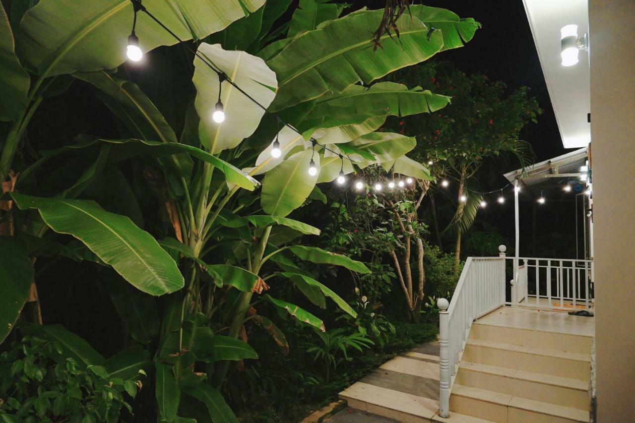 Longan Homestay Хой Ан Екстериор снимка
